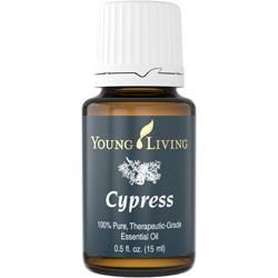 ץ쥹 (Cypress) 15ml