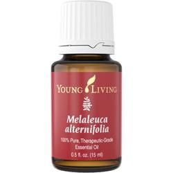 ƥȥ꡼ (Tea Tree / Melaleuca Alternifolia)) 15ml