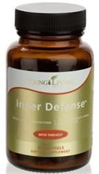 ʡǥե (Inner Defense) 60ץ