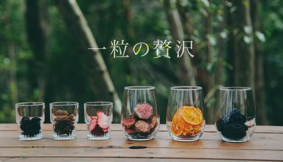 国産ドライフルーツ 信州生まれの100 無添加 レーズン いちじく等19種類 果実企画オンラインショップ 国産ドライフルーツ 信州生まれの100 無添加 レーズン いちじく等19種類 果実企画オンラインショップ