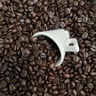 <img class='new_mark_img1' src='https://img.shop-pro.jp/img/new/icons14.gif' style='border:none;display:inline;margin:0px;padding:0px;width:auto;' />ܥ르Ρ