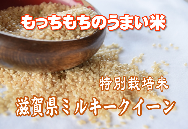 埼玉県産ミルキークイーン、農薬・化学肥料を極力控えたお米を玄米・分づき米・白米でお届け。１ｋｇ単位でご購入出来ます｜お米の通販サイトお米ん屋