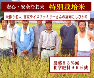 商品検索 - お米ん屋 減農薬・無農薬のお米を生産者直接仕入れ 商品検索 - お米ん屋 減農薬・無農薬のお米を生産者直接仕入れ
