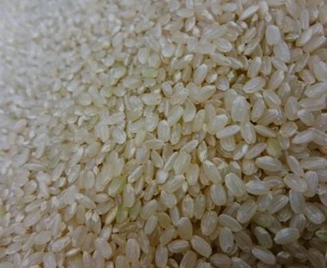 農薬不使用！長野県コシヒカリを玄米・分づき米・白米でお届け。１ｋｇ