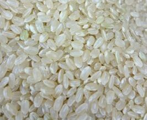 佐賀県産さがびより(減農薬米)を玄米・分づき米・白米でお届け 佐賀県産さがびより(減農薬米)を玄米・分づき米・白米でお届け