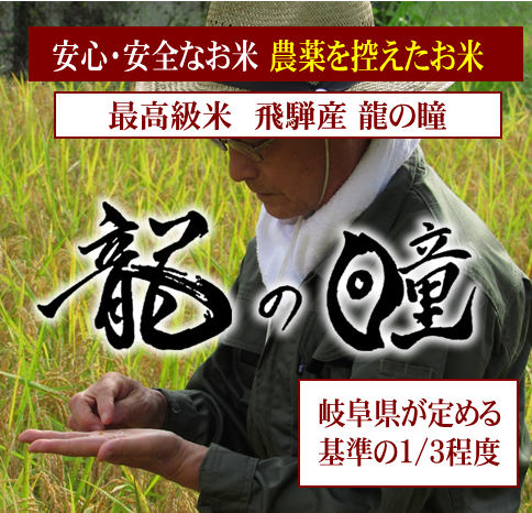 最高級ランク!岐阜県飛騨産 龍の瞳 玄米・分づき米・白米でお 最高級ランク!岐阜県飛騨産 龍の瞳 玄米・分づき米・白米でお