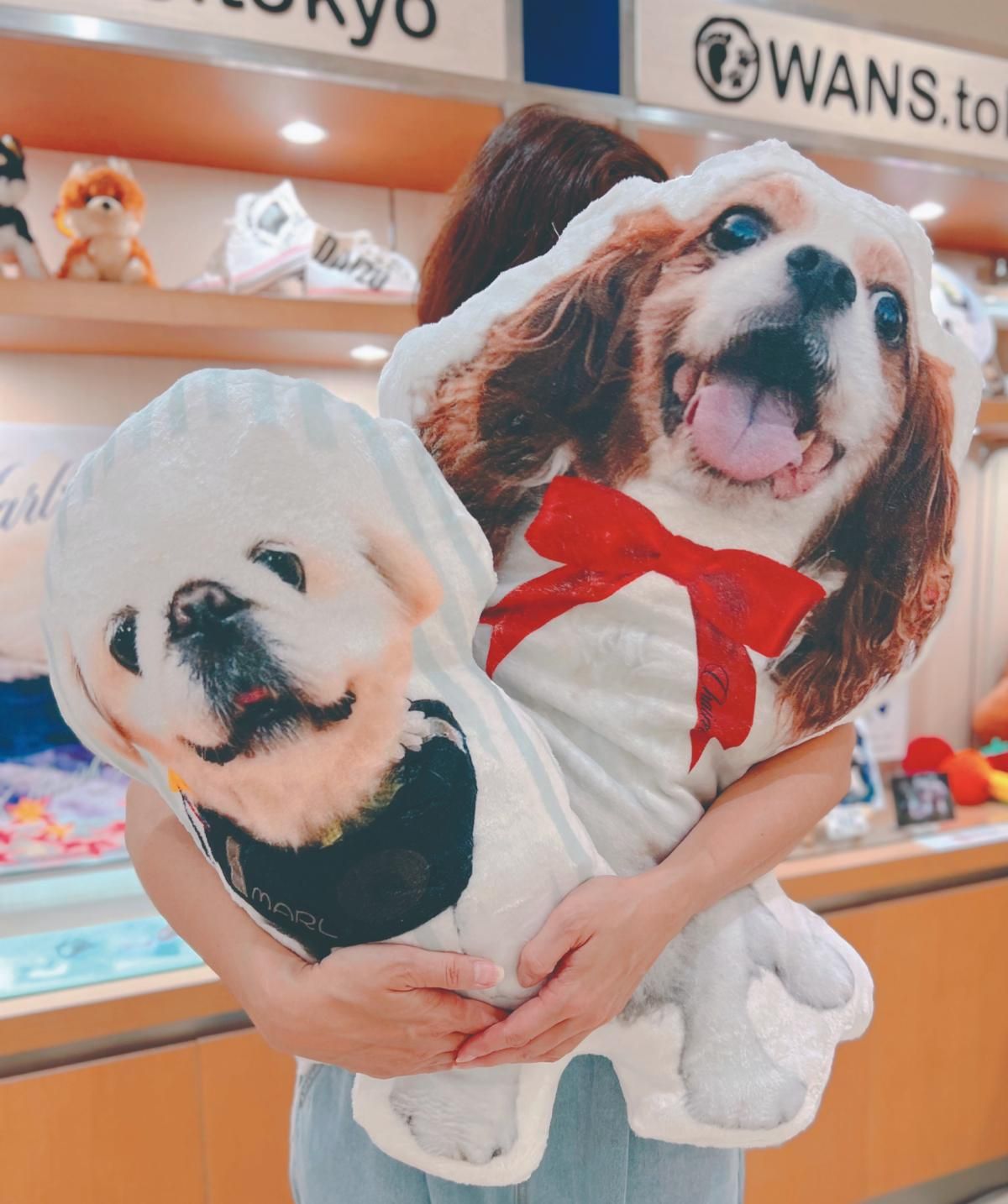 Amazon.co.jp: 仔ネコショコラ ＆ バニラ 等身大 ダイカット