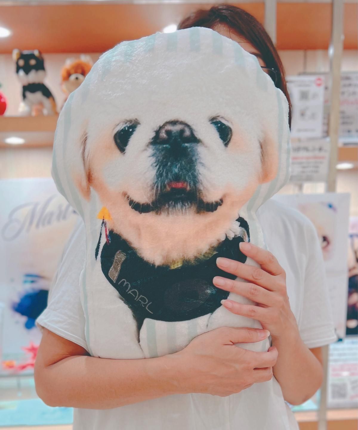 うちの仔ダイカットクッション - WANS.tokyo （家族とペットの絆