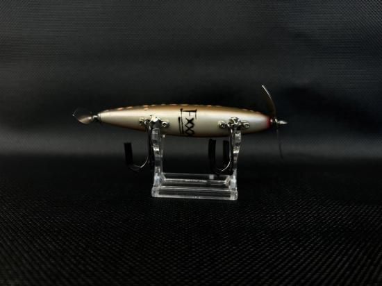 ガリテトラ 新カラー登場!! - BONHEUR ONLINE SHOP