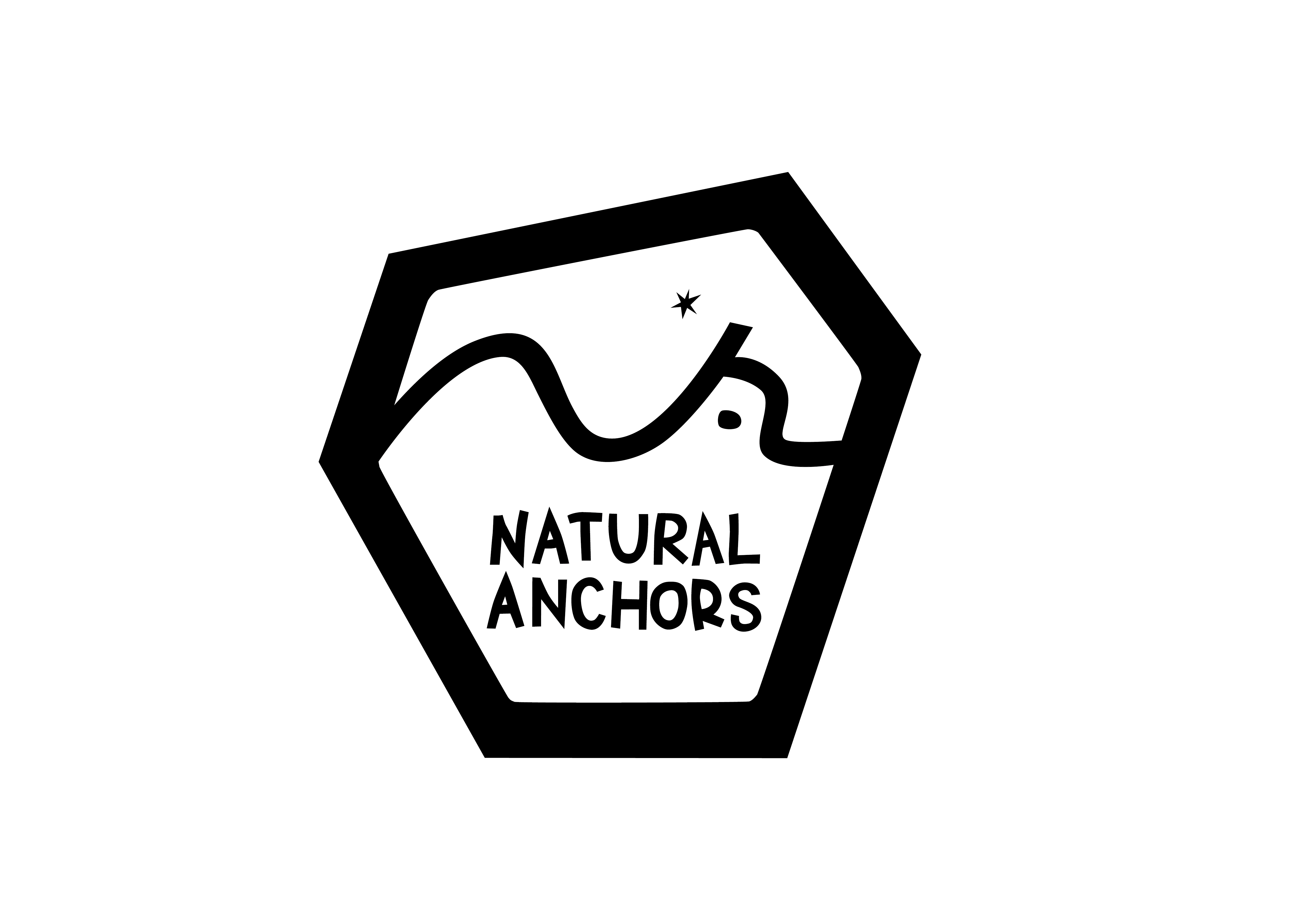 NATURAL ANCHORS