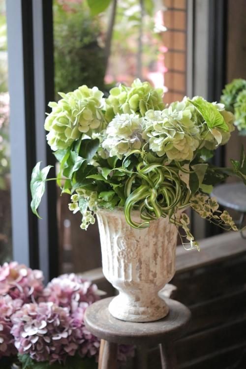 秋色アジサイ クリスタル と巻葉オリヅルランの寄せ植え 花とカゴと暮らしの道具 ハナモミジ