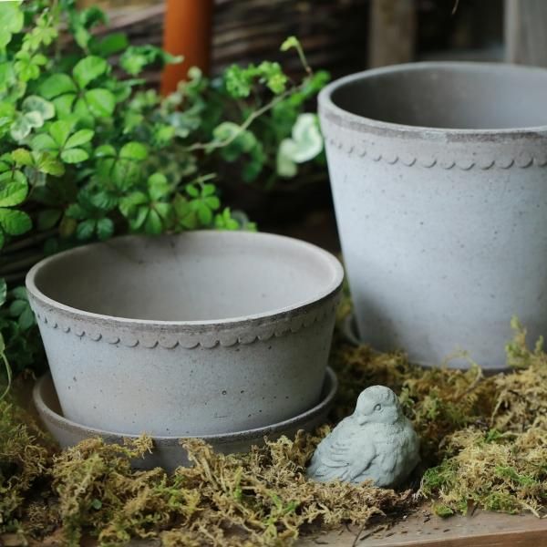 楽天市場】Bergs Potter 植木鉢 Helena グレー φ21cm 低め