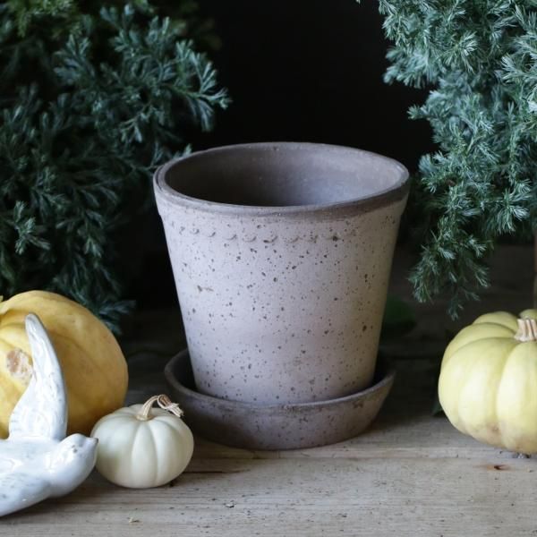 楽天市場】Bergs Potter 植木鉢 Helena グレー φ21cm 低め