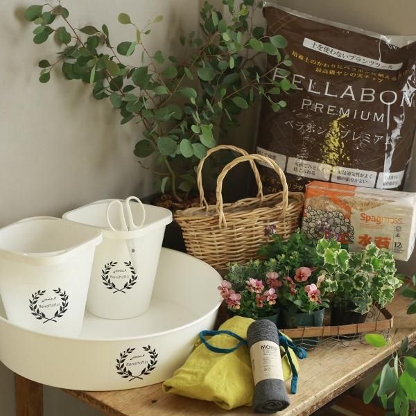 ベラボンの販売通販ーギャザリング寄せ植え専用プランツツールー ベラボンの販売通販ーギャザリング寄せ植え専用プランツツールー