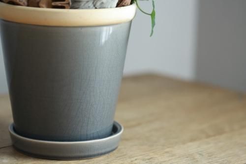 アイビーのリース仕立て 鳥オブジェ付き 花とカゴと暮らしの道具 ハナモミジ アイビーのリース仕立て 鳥オブジェ付き 花とカゴと暮らしの道具 ハナモミジ