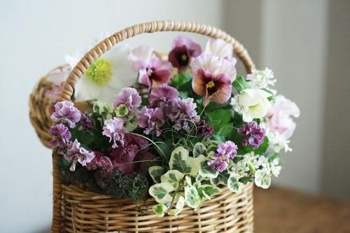 寄せ植えブリコラージュ フラワー 寄せ植えブリコラージュ フラワー