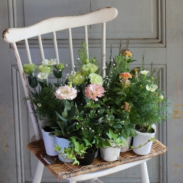 寄せ植えブリコラージュ フラワー