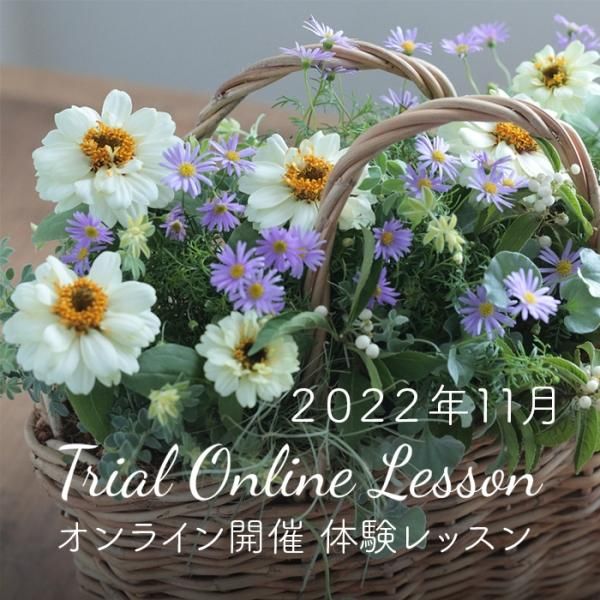 2022ǯ1110ۿ 饤󳫺 θåʲֺȴĤ