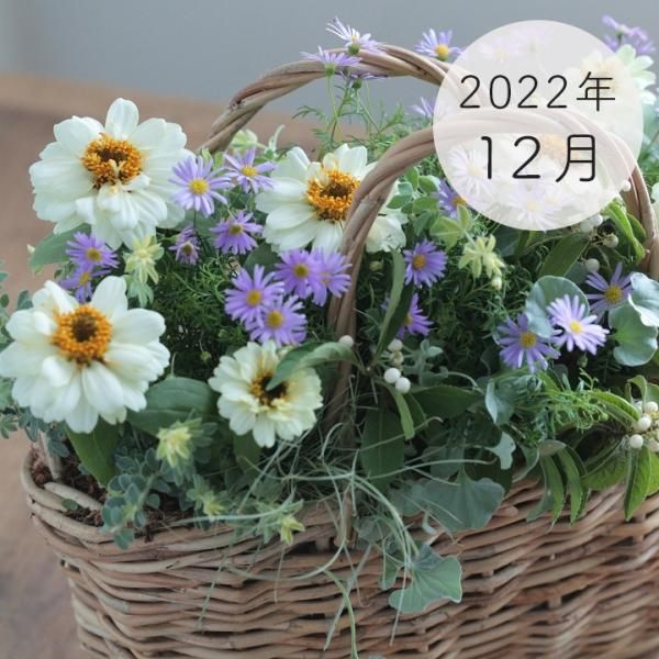 2022ǯ1215ۿ 饤󳫺 θåʲֺȴĤ