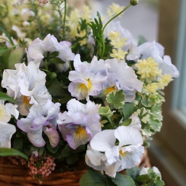 寄せ植えブリコラージュ フラワー