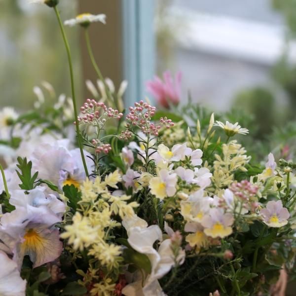 寄せ植え　花■季節の花のブリコラージュフラワー 寄せ植えブリコラージュ フラワー