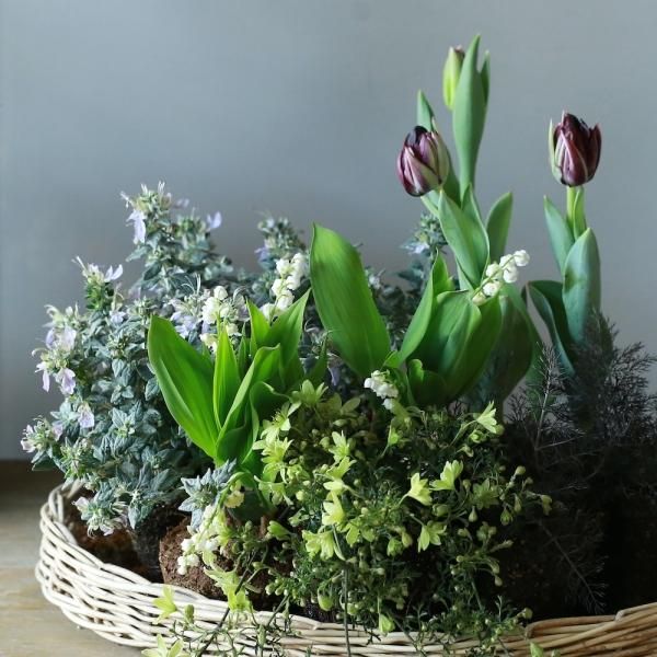 寄せ植えブリコラージュ フラワー