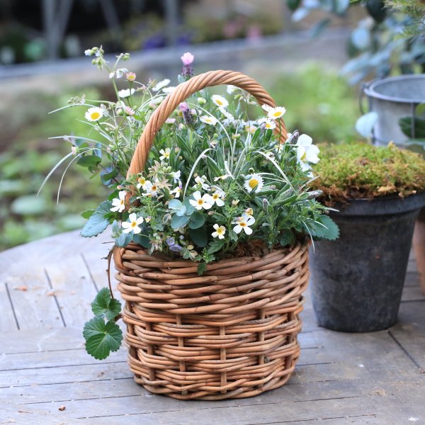 寄せ植えブリコラージュ フラワー