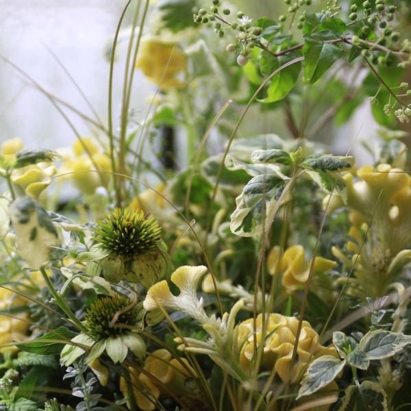 寄せ植え　花■季節の花のブリコラージュフラワー 寄せ植えブリコラージュ フラワー
