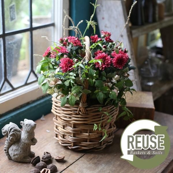 寄せ植えブリコラージュ フラワー