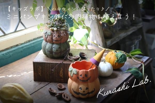 177426554.jpg?cmsp_timestamp=