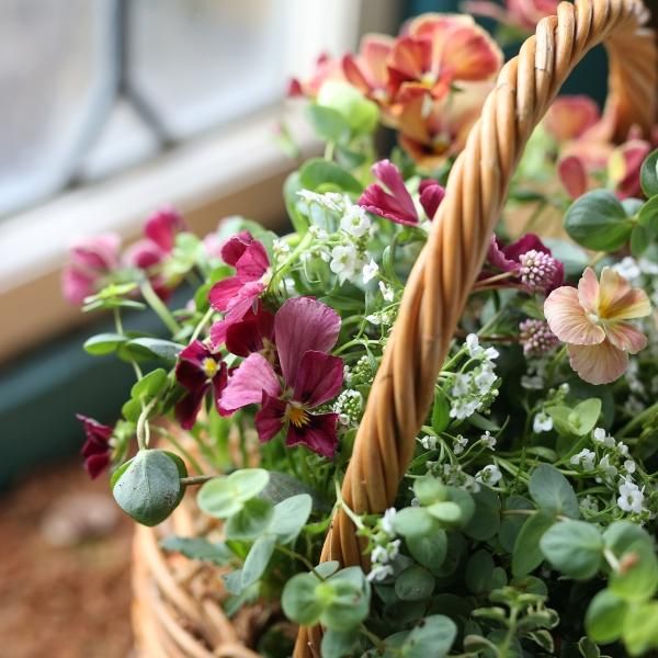 寄せ植えブリコラージュ フラワー