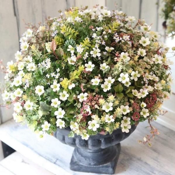 商品検索 - 花とカゴと暮らしの道具 ハナモミジ