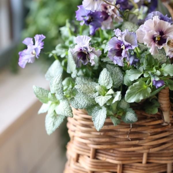 寄せ植えブリコラージュ フラワー