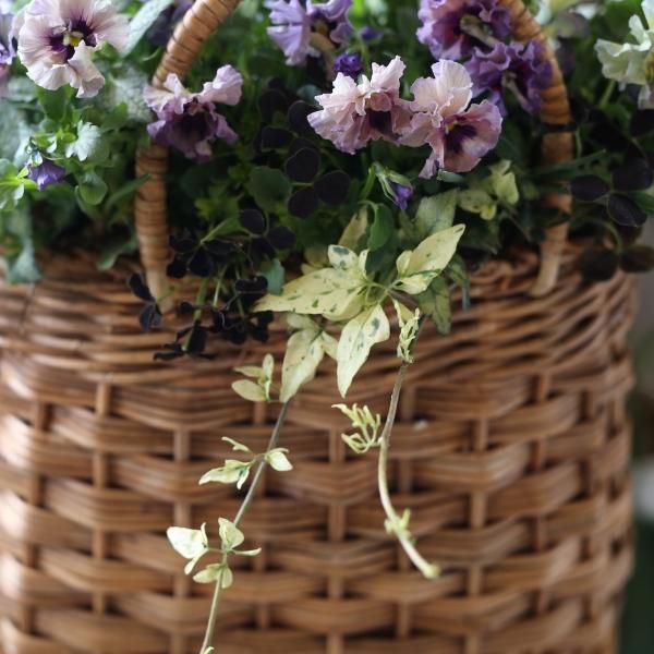 寄せ植えブリコラージュ フラワー