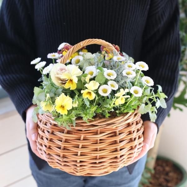 寄せ植えブリコラージュ フラワー