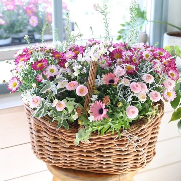 寄せ植えブリコラージュ フラワー