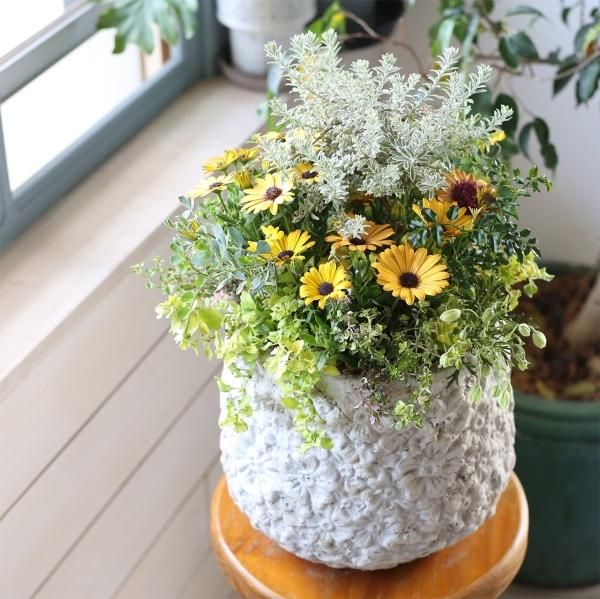 お値下げ中 寄せ植え 花□季節の花のブリコラージュフラワー