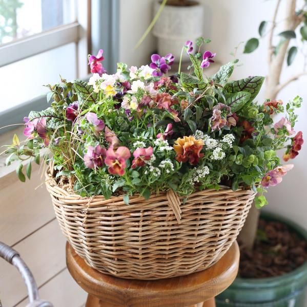 寄せ植えブリコラージュ フラワー