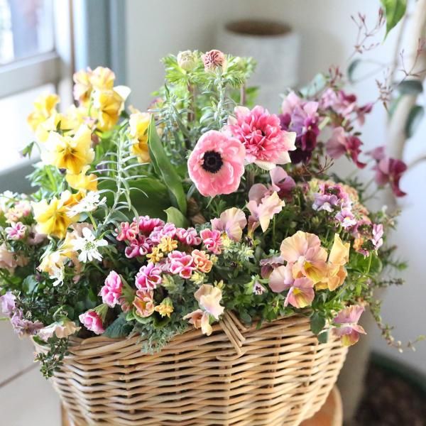 寄せ植えブリコラージュ フラワー