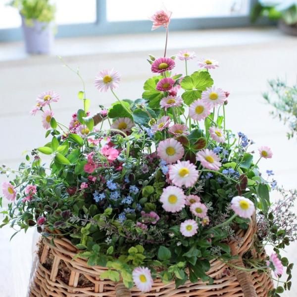 寄せ植えブリコラージュ フラワー