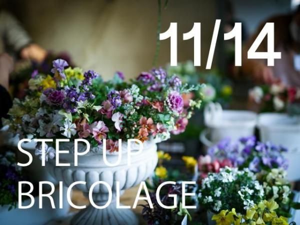 š11/14  ƥåץåס֥ꥳ顼ե
