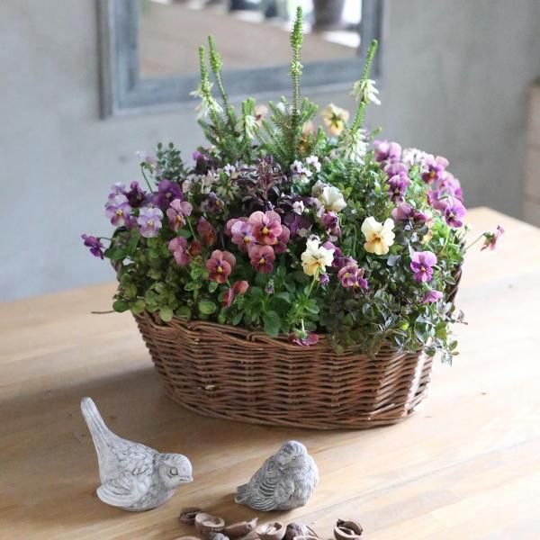 ڣΡۥӥ餷󤷤ȥͥ᥷ޥ꡼ΥƥХåȡʡȯˡ