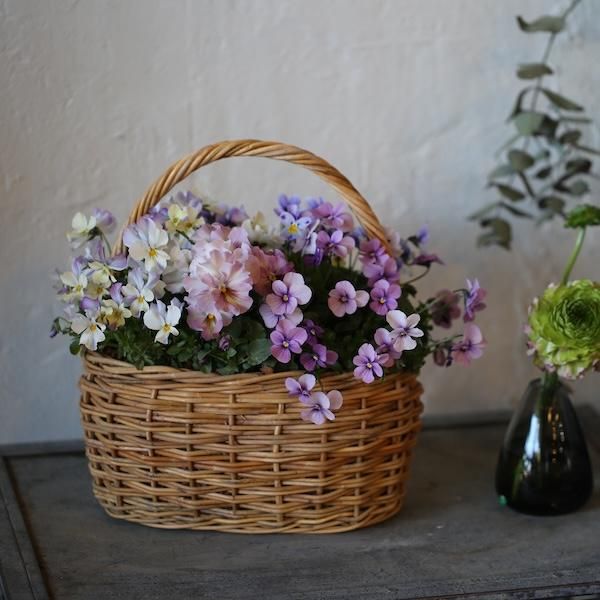 Ź12š۲֤餤åʤϤơե꡼