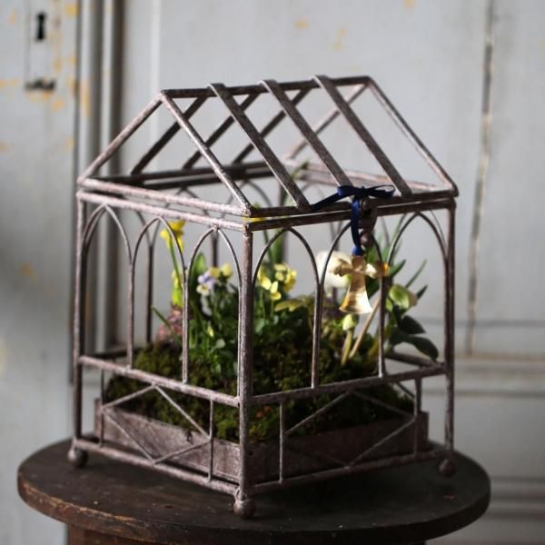 ڣΡChristmasȢ֥ꥳ顼ȯˡ̡