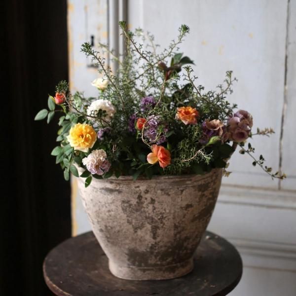 ڣΡChristmas bouquet ͤʲڤ䤫֥ꥳ顼եȯˡ̡