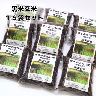 紫黒米もち玄米　300g×16袋セット