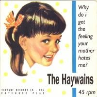 THE HAYWAINS / WHY DO I GET THE FEELING YOUR MOTHER HATES ME  (7