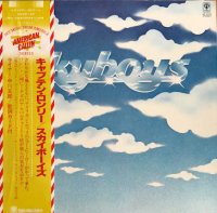 Skyboys / Skyboys (LP)