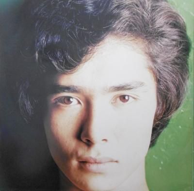 郷ひろみ Hiromic World Lp Terrarium Record 中古アナログレコードのonline Shop 郷ひろみ Hiromic World Lp Terrarium Record 中古アナログレコードのonline Shop