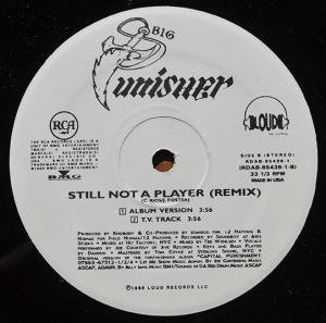 BIG PUNISHER / STILL NOT A PLAYER -REMIX- (12